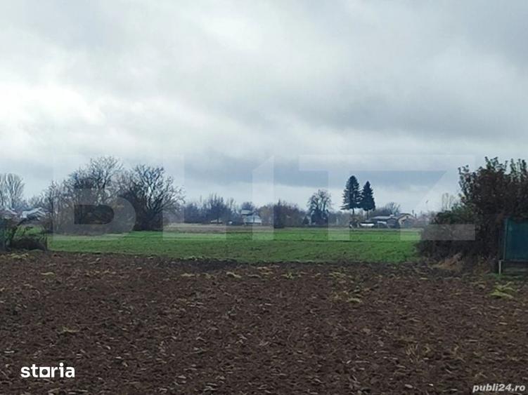 Teren 1 hectar Intravilan + Extravilan | Acces facil | Post Trafo - 3