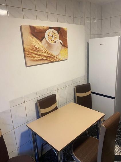 Inchiriere Apartament 2 Camere Teiul Doamnei Obor Tei Colentina - 7