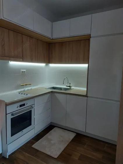 apartament o camera de inchiriat in zona Badea Cartan - 2