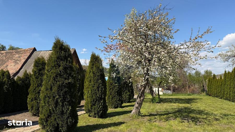 Casă cu 3 camere cu Teren 788 Mp în Central
