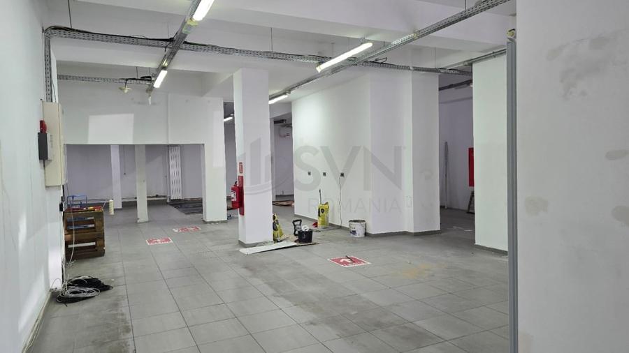 Birou, de 230 mp, în Kiseleff