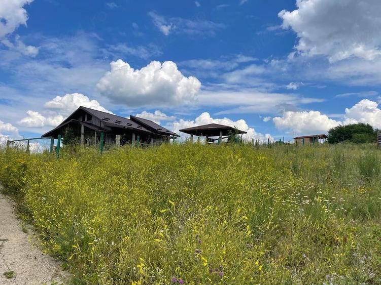 Teren de 750 mp, în Tomești