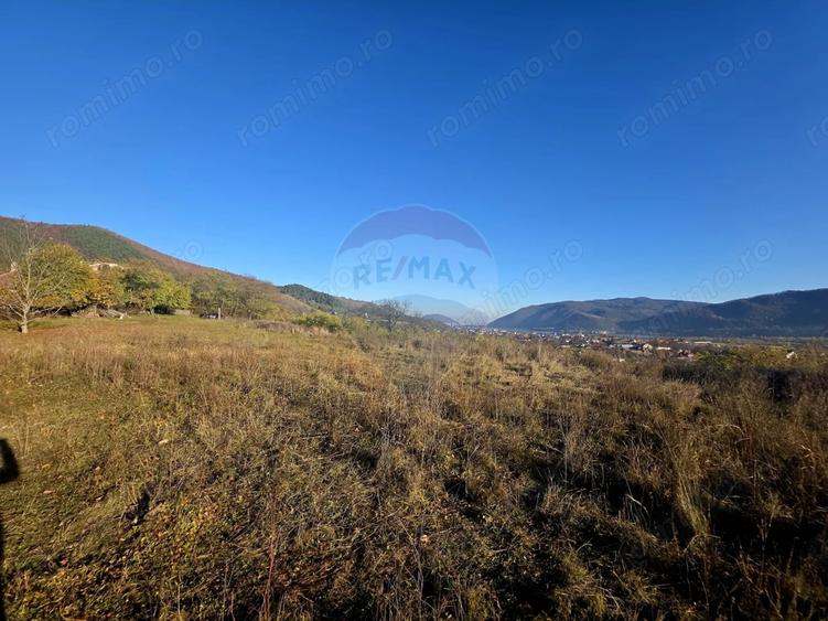 Teren de 6874 mp, în Alexandru cel Bun