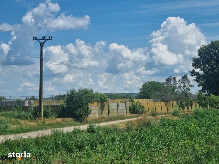 Teren de 27500 mp, în Săucești