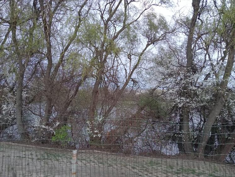 Teren intravilan de 2000 mp, în Străulești