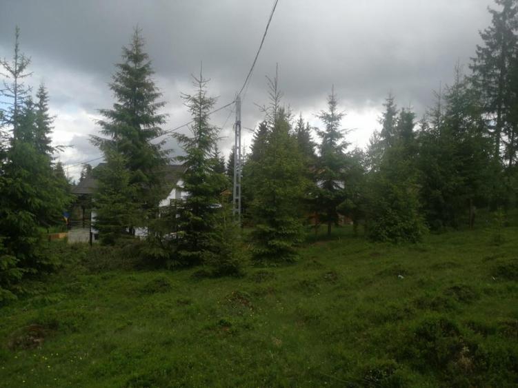Teren Construcții de 1300 mp, în Beliș