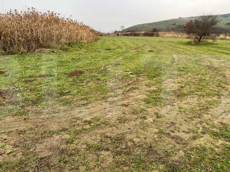 Teren Construcții intravilan de 2200 mp, în Sopor