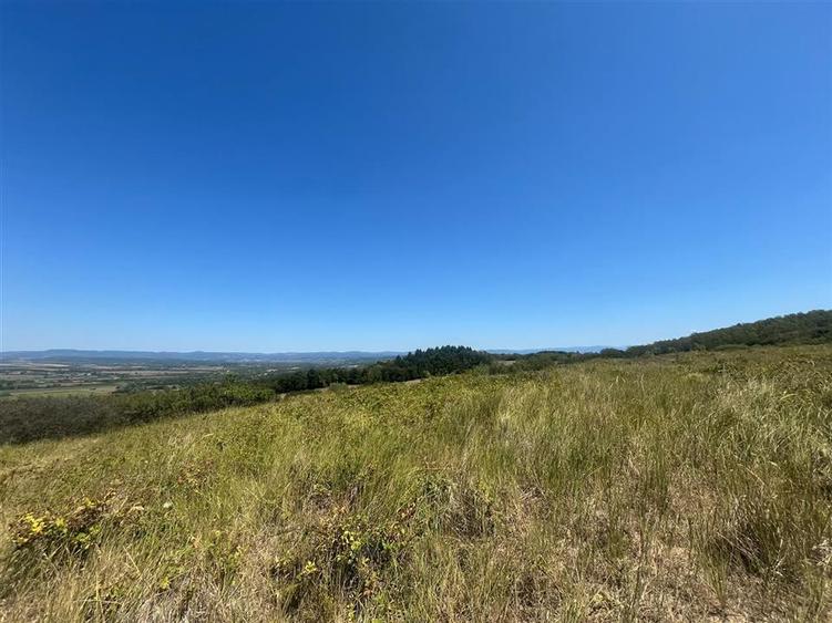 Teren agricol extravilan de 27400 mp, în Holod