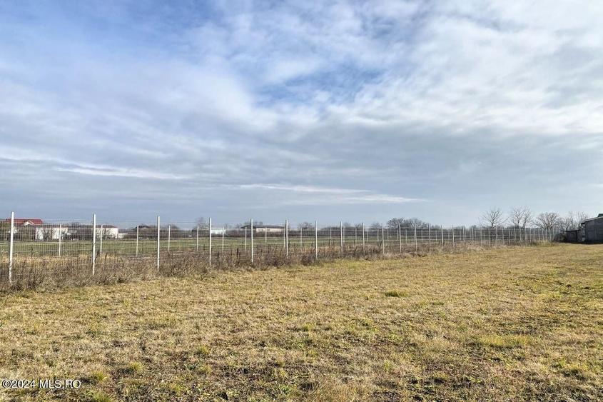 Teren Construcții intravilan de 2409 mp, în Afumați