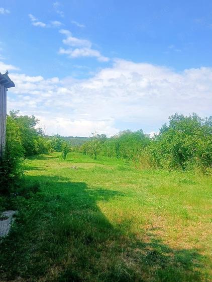 Casă cu 3 camere cu Teren 2700 Mp în Coada Izvorului