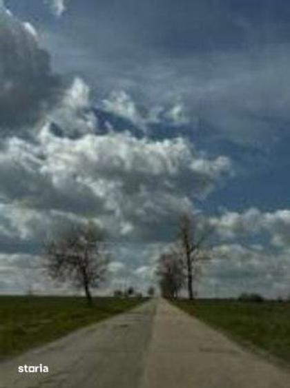 Teren de 34000 mp, în Casimcea