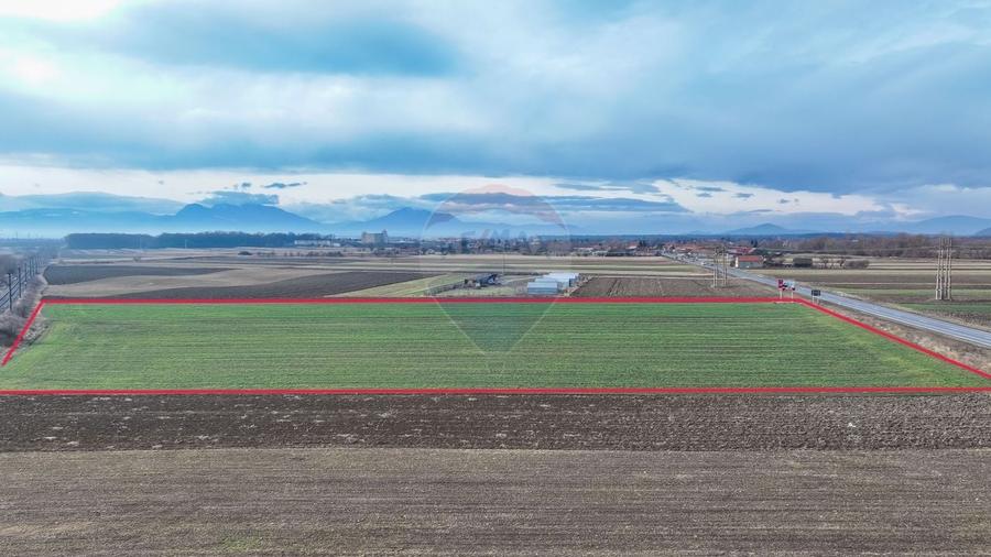 Teren agricol intravilan de 5300 mp, în Prejmer