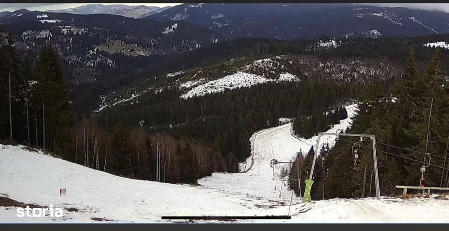 Teren de 280000 mp, în Iacobeni