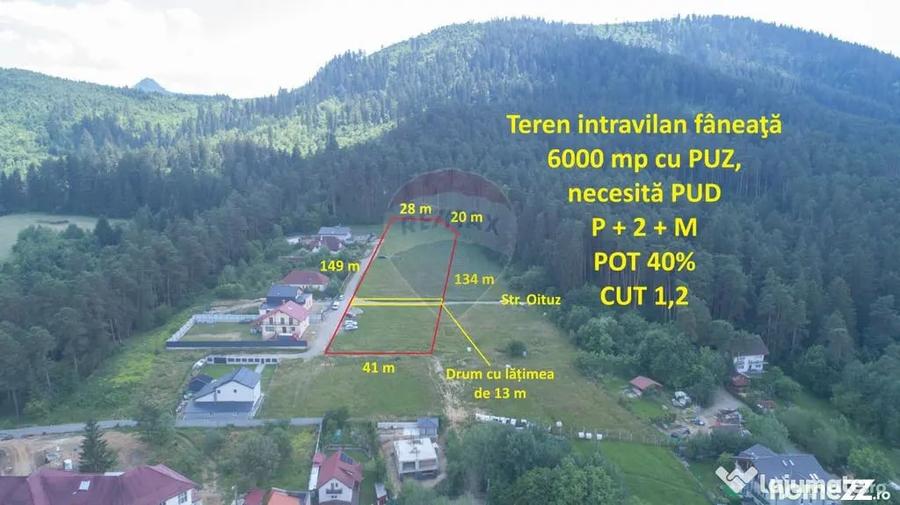 Teren în Poiana Angelescu