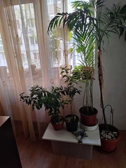 Apartament cu 2 camere decomandat în Crângași