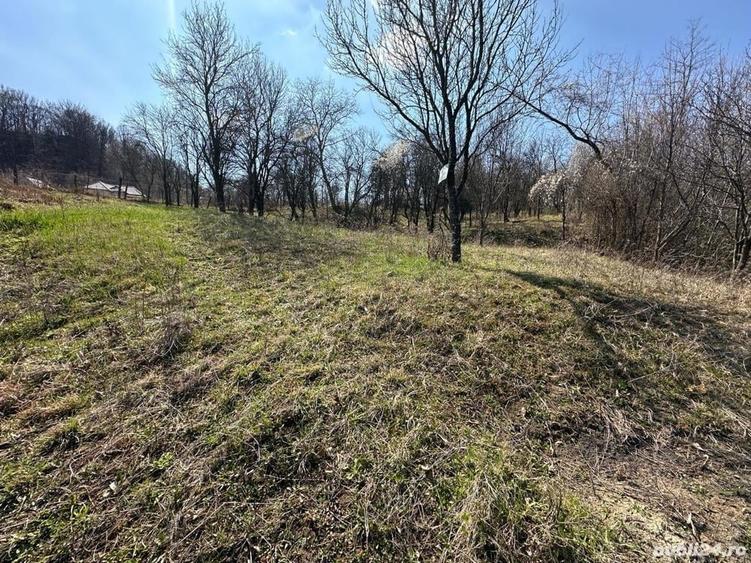 Teren de 828 mp, în Curăturile