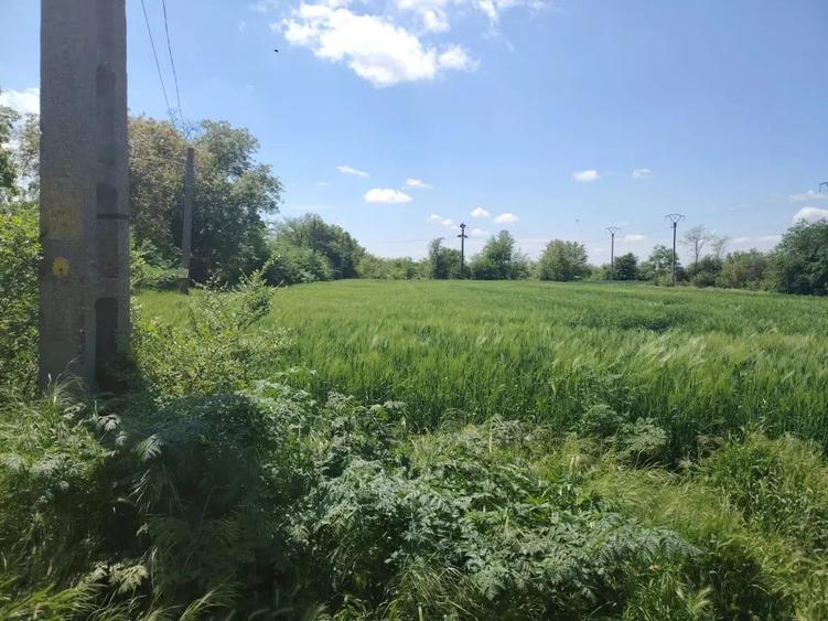 Teren de 1656 mp, în Gârbovi