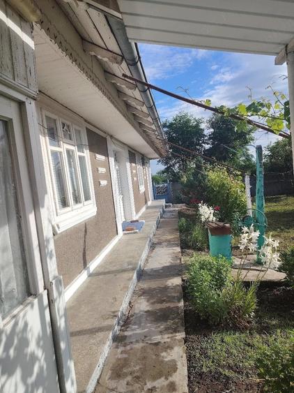 Casă cu Teren 2400 Mp în Cârja