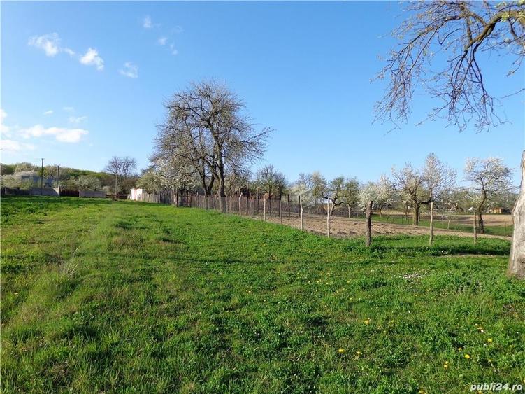 Casă cu 5 camere cu Teren 3000 Mp în Lespezi