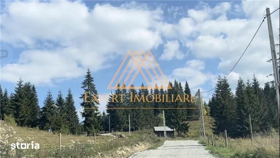 Casă cu 4 camere cu Teren 29000 Mp în Central