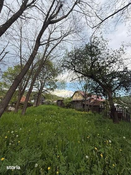 Teren si casa de vanzare , in Nistoresti - 8