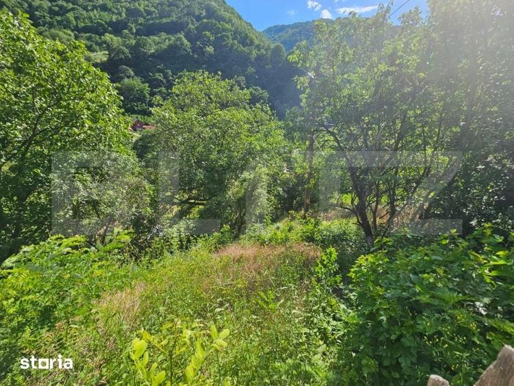 Casă cu 3 camere semidecomandat cu Teren 1343 Mp în Săsciori