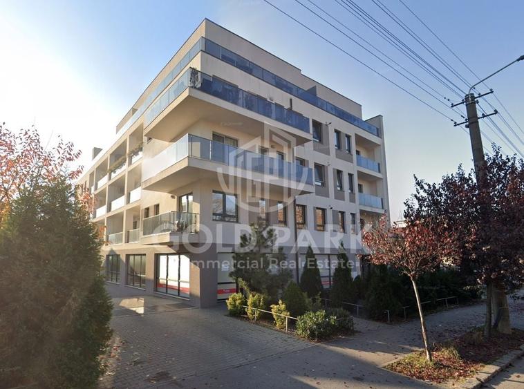 Spatiu Comercial - Marasti - Vitrina la Strada - 441 mp - 9