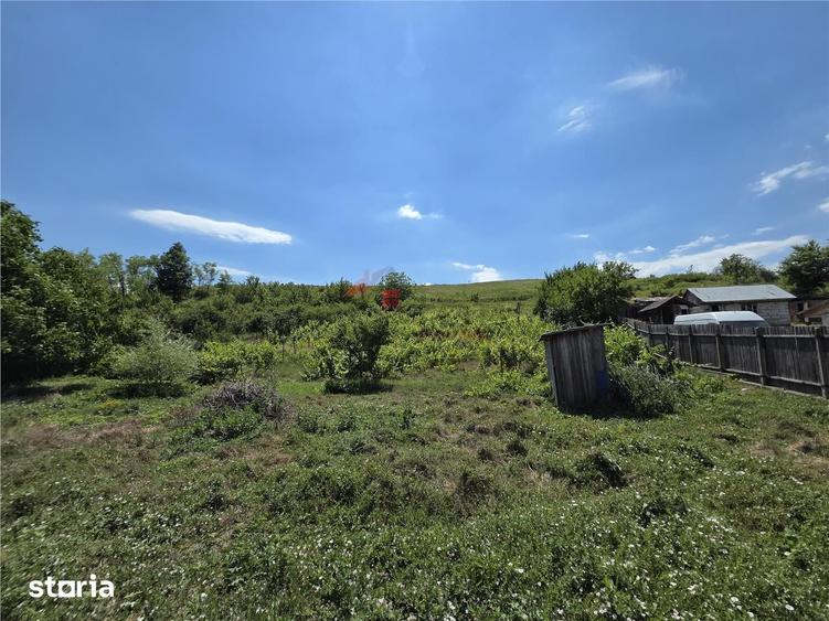 Teren 4800MP - Tomesti - La Soseaua Principala - 8