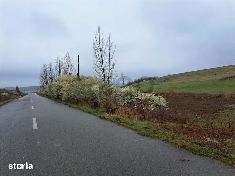 Teren de 10000 mp, în Viișoara