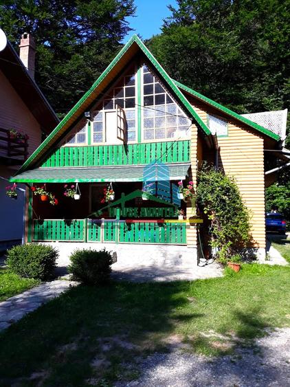 Spațiu comercial, de 450 mp, în Lepșa