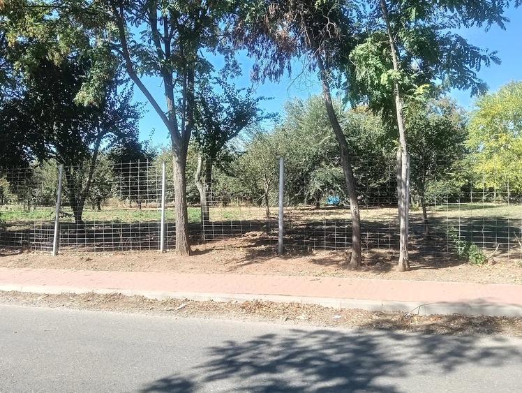 Teren de 1200 mp, în Păulești