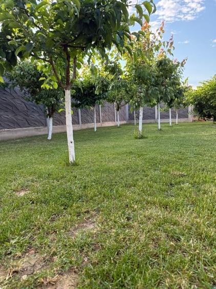 Casă individuală cu 3 camere cu Canalizare în Central