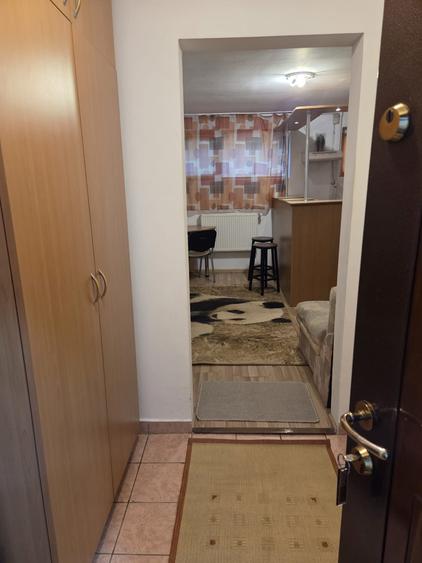 Garsonieră nedecomandată în Dosu Bricii