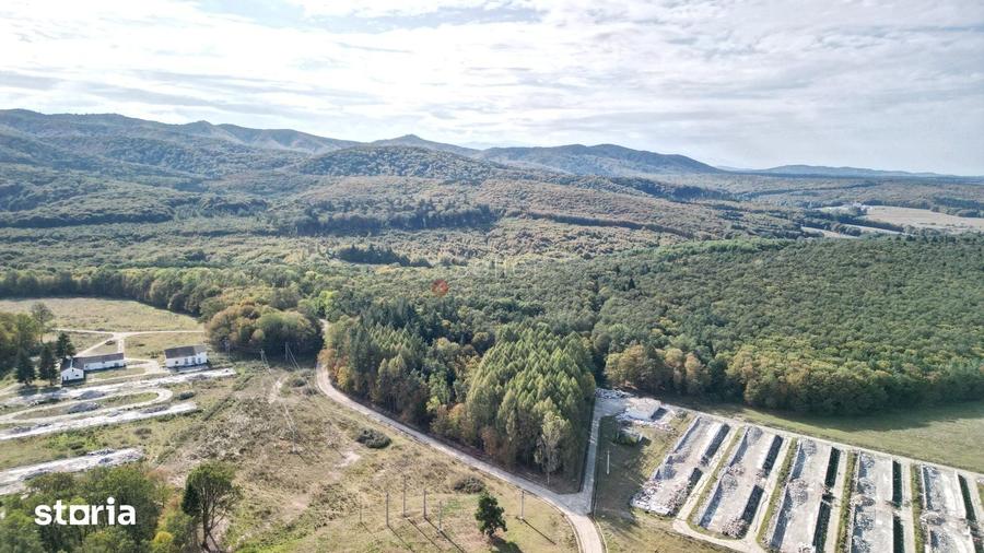 Teren de 186000 mp, în Dumbrăvița