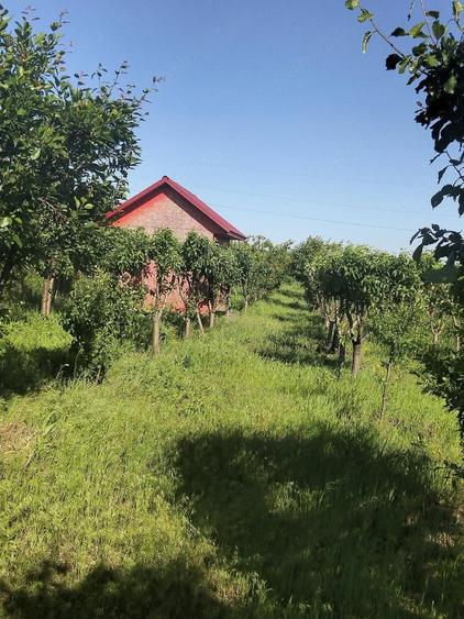 Teren de 1600 mp, în Potoceni