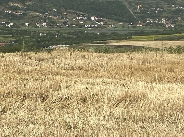 Spațiu comercial, în Câmpenești
