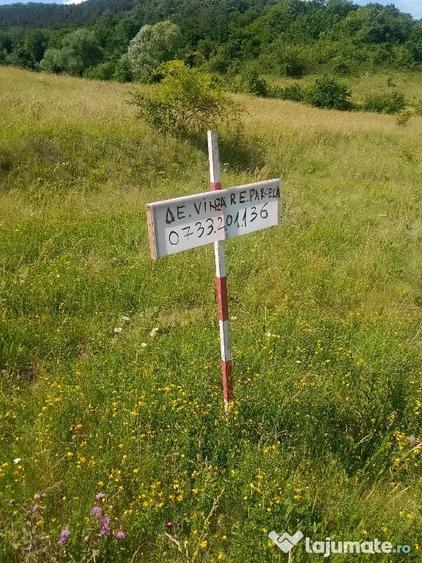 Teren extravilan Luna de Sus Cluj Floresti 1400mp - 18