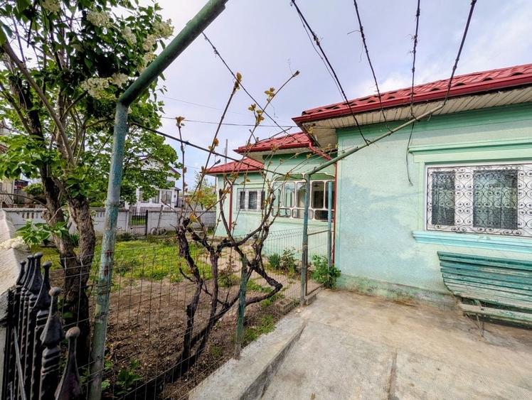 Casa 3 camere + Anexa, curte 300 mp - 4