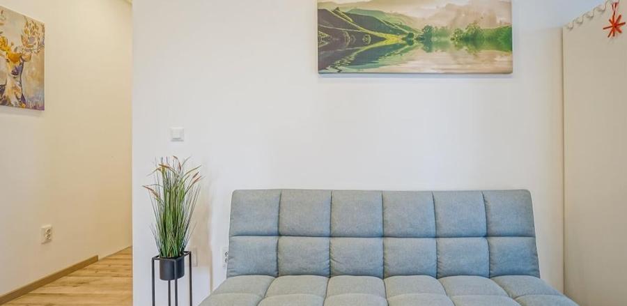 Apartament 2 Camere  | Aviatiei | Pet Friendly | Terasa - 5
