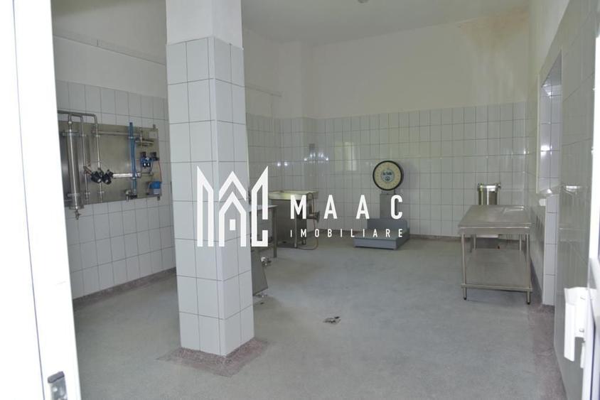 Spațiu industrial, de 2,000 mp, în Țapu