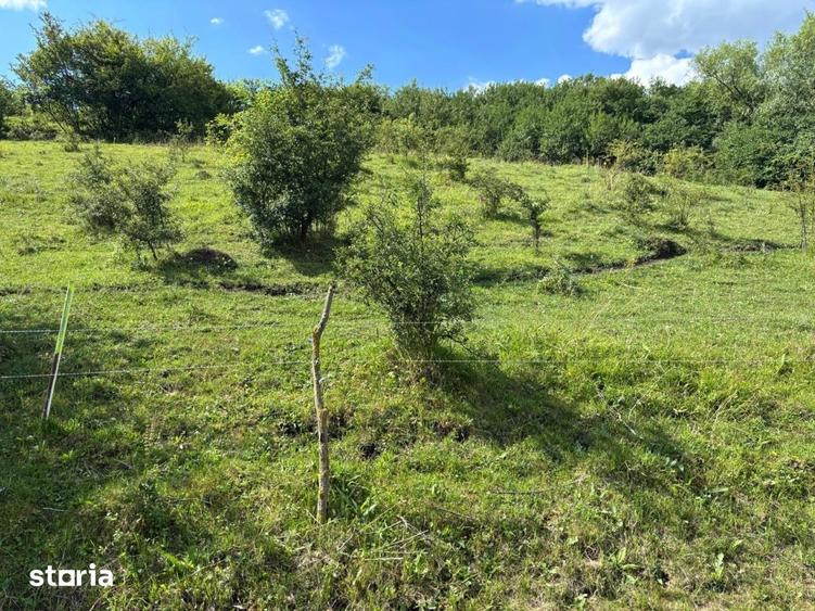 Teren de 2200 mp, în Sava