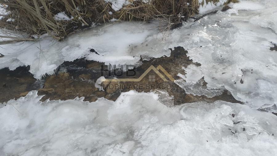Teren agricol extravilan de 10035 mp, în Cheile Râșnoavei