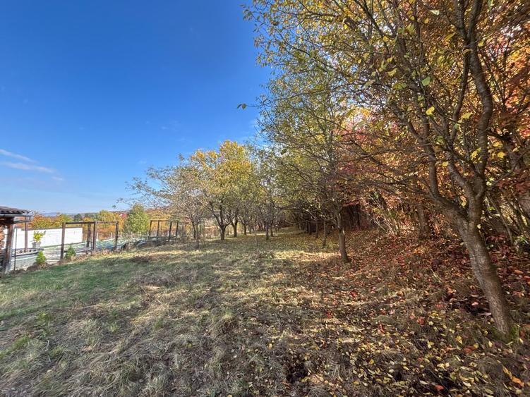 Teren agricol intravilan de 1198 mp, în Turnu Roșu