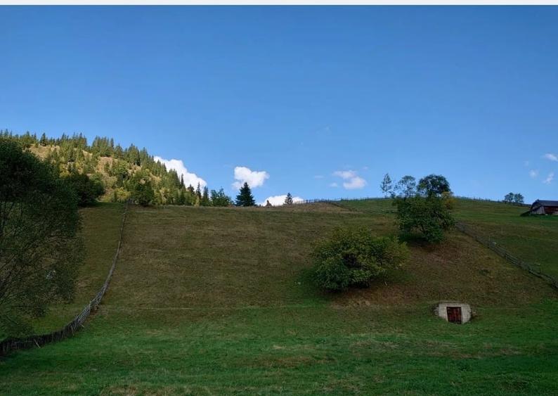 Teren Construcții intravilan de 1724 mp, în Ortoaia