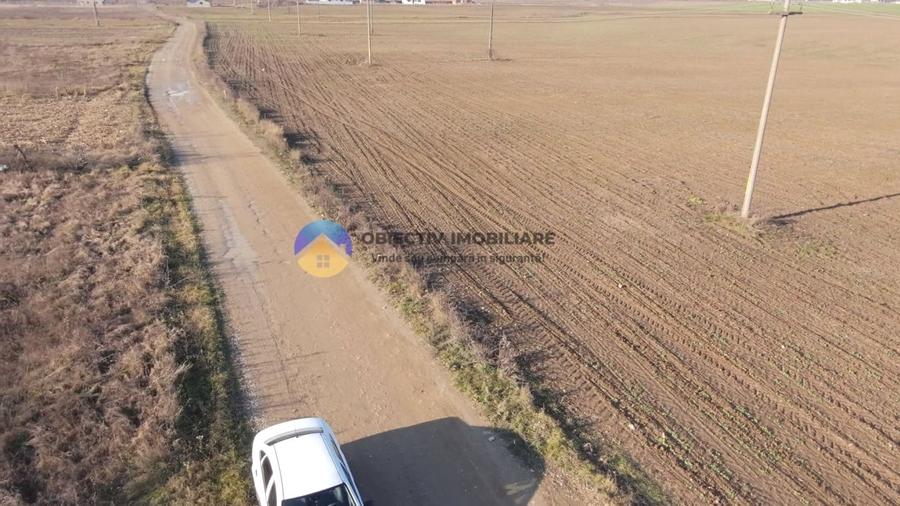 Teren investiție intravilan 3600 mp – Dumbrava Roșie - 5