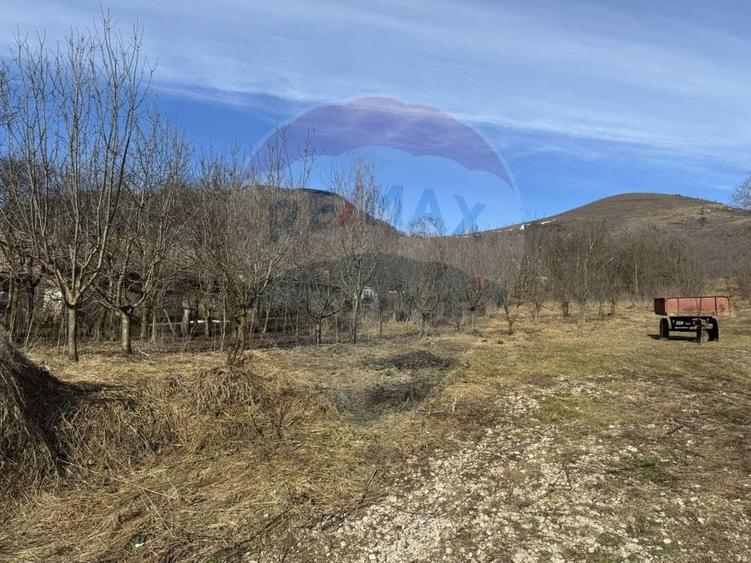 Teren Construcții intravilan de 1271 mp, în Izvoarele (Livezile)