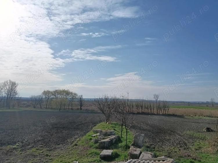 Casă cu 3 camere cu Teren 2800 Mp în Tarcea