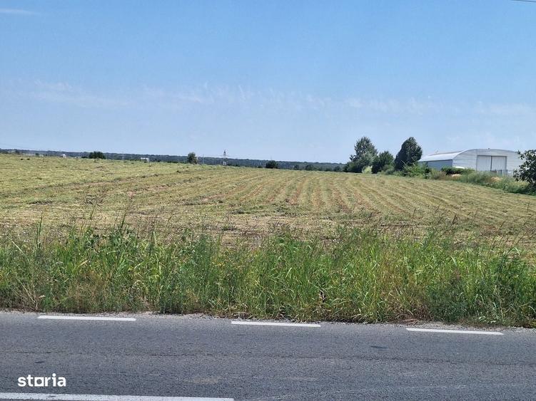 Teren de vanzare 23.298 mp | Ciorogarla, Ilfov |Acces rapid A1 si A0 - 14