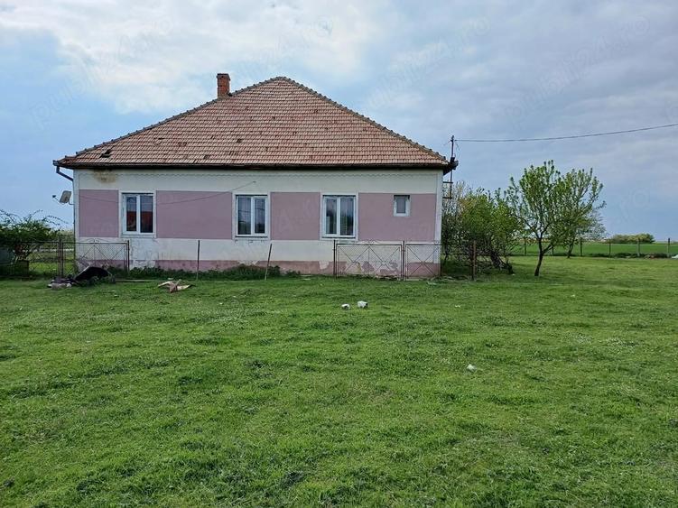 Casă cu Teren 1500 Mp în Pădureni