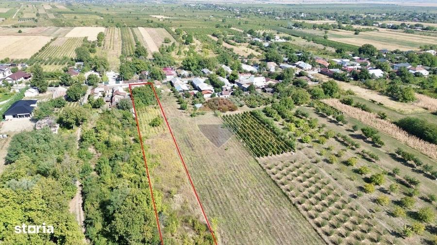 Casă cu 3 camere în Sârbi